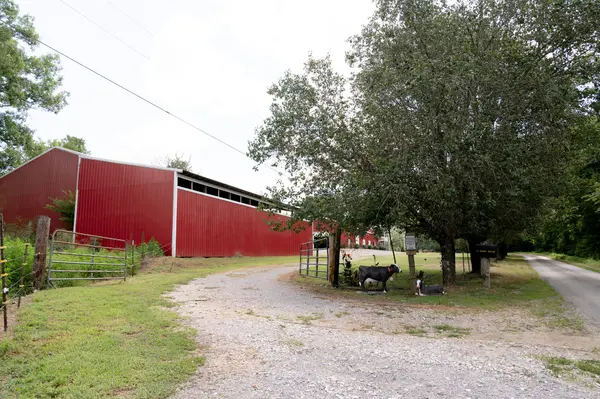 27 Bishop Hollow Ln, Pleasant Shade, TN 37145