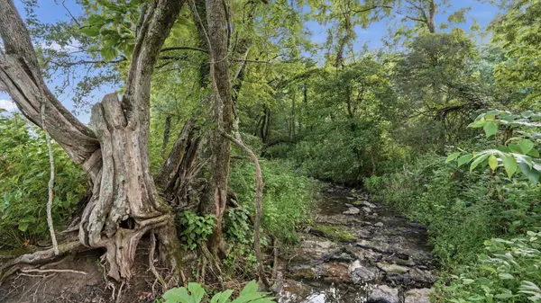 1 Cathcart Road, Frankewing, TN 38459