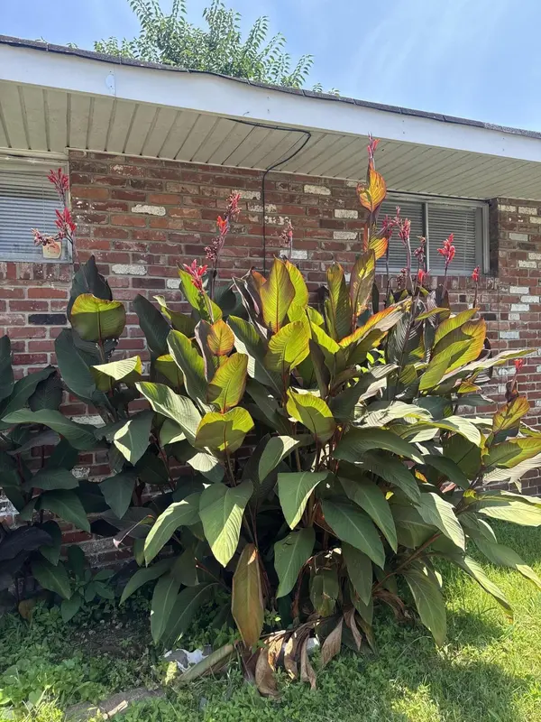 2001 Wilson Street, Chattanooga, TN 37406