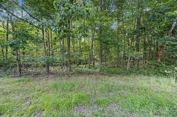 520 Cliff Park Rd, Monterey, TN 38574