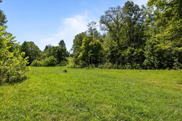 0 Hwy 230, Mc Ewen, TN 37101