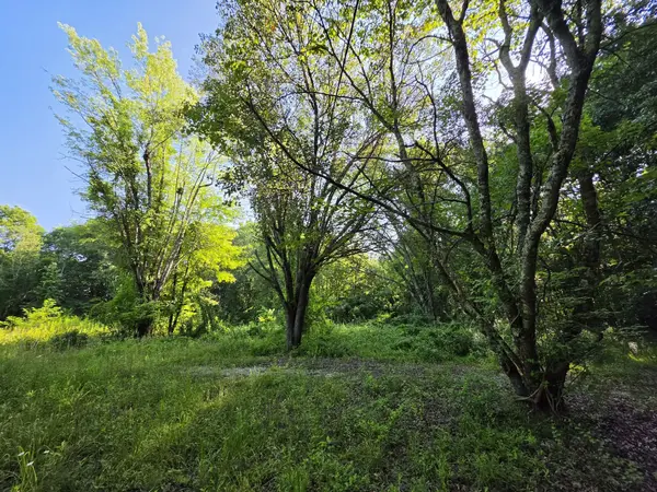 71 Myers Town Rd, Beersheba Springs, TN 37305
