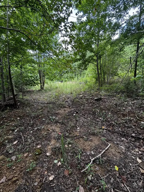 0 Orme Mountain Road, South Pittsburg, TN 37380