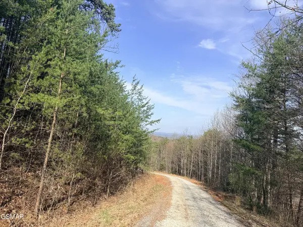 0 Trentham Road, Newport, TN 37821