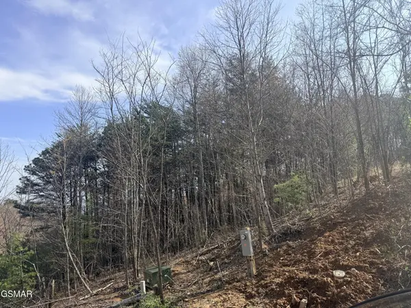 0 Trentham Road, Newport, TN 37821