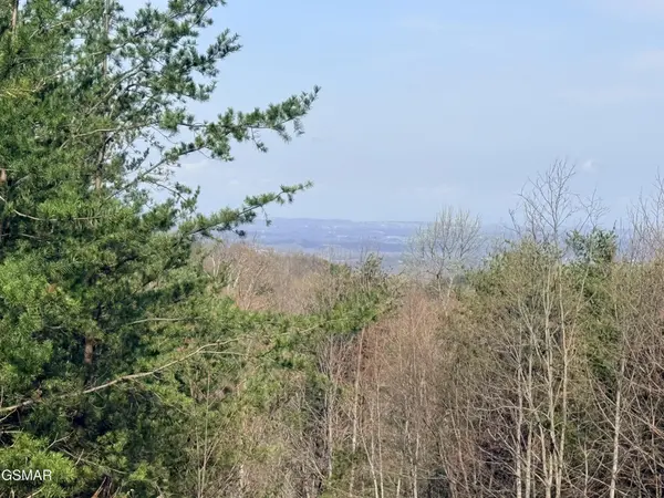0 Trentham Road, Newport, TN 37821