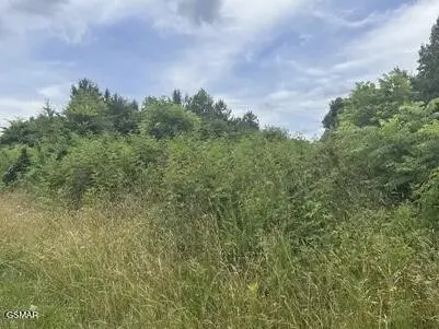 0 SaddleRidge Drive, Speedwell, TN 37870