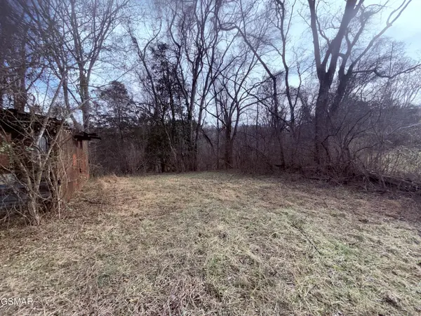 0 Chickory Road, Newport, TN 37821