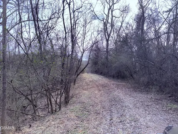 0 Chickory Road, Newport, TN 37821