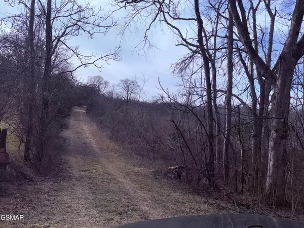 0 Chickory Road, Newport, TN 37821