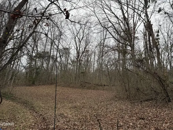 0 Off Allen Chapel Road, Parrottsville, TN 37843
