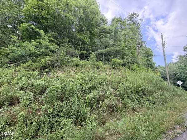 0 Gulf Road, Hartford, TN 37753