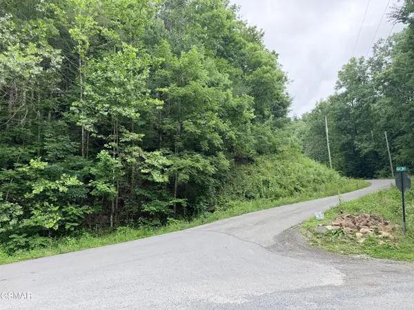 0 Gulf Road, Hartford, TN 37753