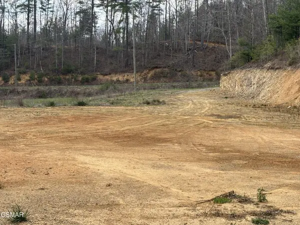 2 Bull Mountain Road, Del Rio, TN 37727