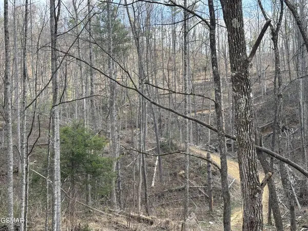 2 Bull Mountain Road, Del Rio, TN 37727