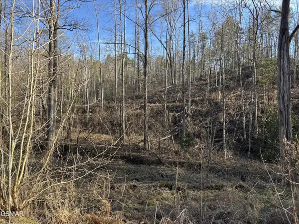 1 Bull Mountain Road, Del Rio, TN 37727