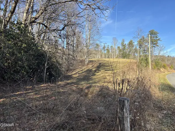 1 Bull Mountain Road, Del Rio, TN 37727