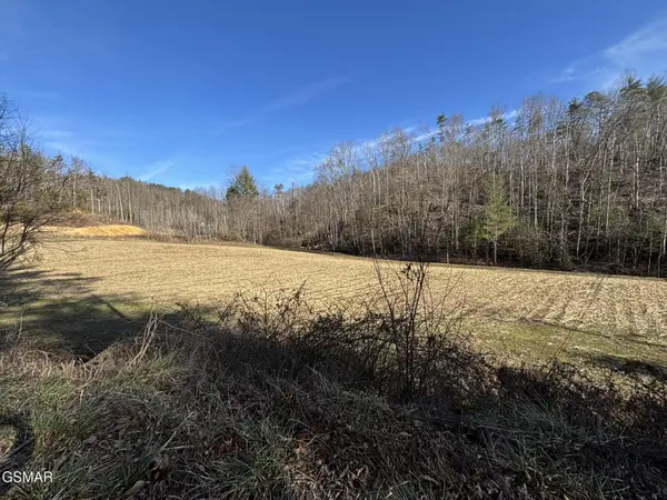 1 Bull Mountain Road, Del Rio, TN 37727