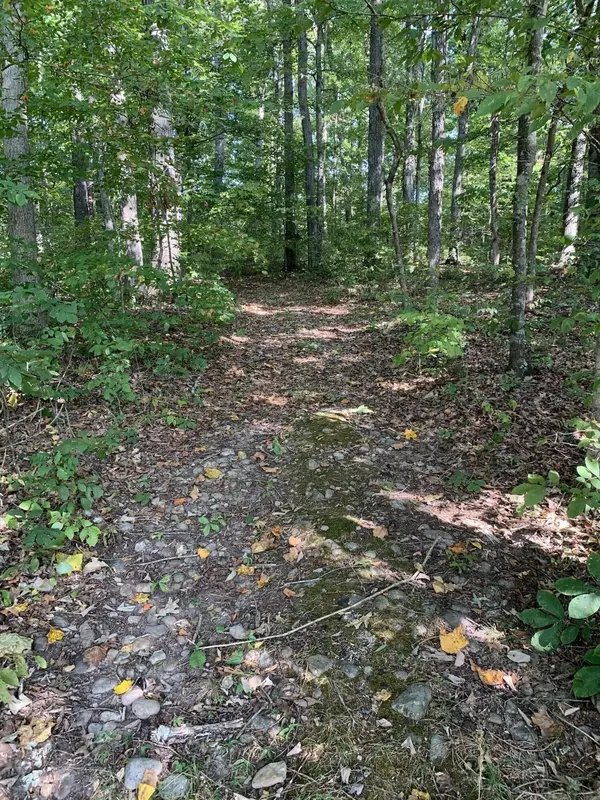 0 Glendale Road, Bybee, TN 37713