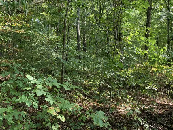 0 Glendale Road, Bybee, TN 37713