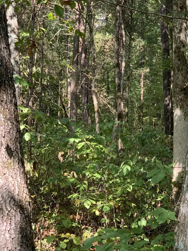 0 Glendale Road, Bybee, TN 37713