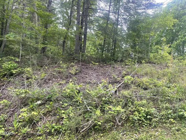 1115 Tranquility Hills Way, Cosby, TN 37722