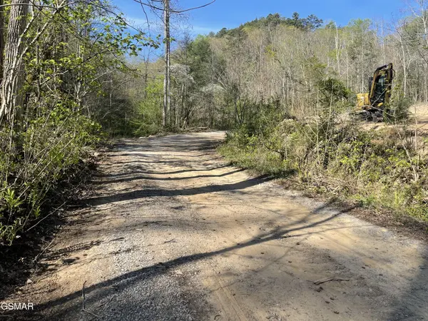 1120 Yellow Springs Road, Cosby, TN 37722