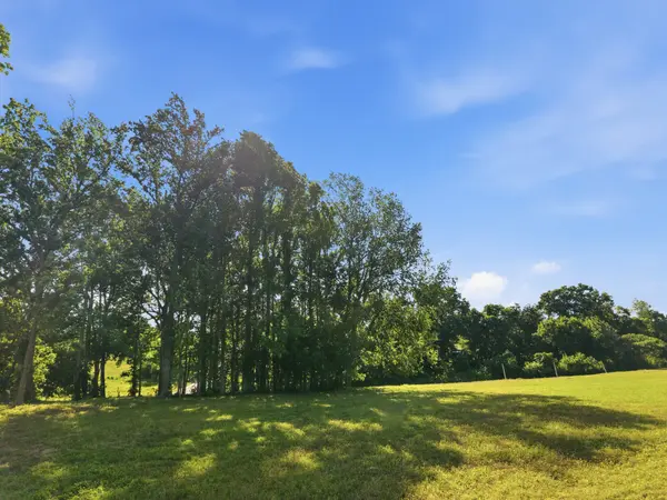 0 Ben Armstrong Road, Castalian Springs, TN 37031