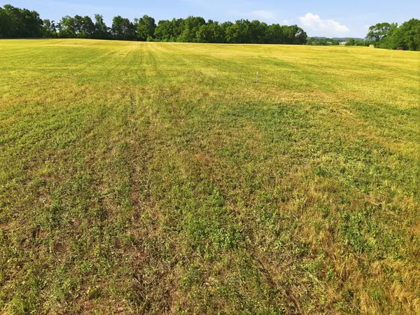0 Ben Armstrong Road, Castalian Springs, TN 37031