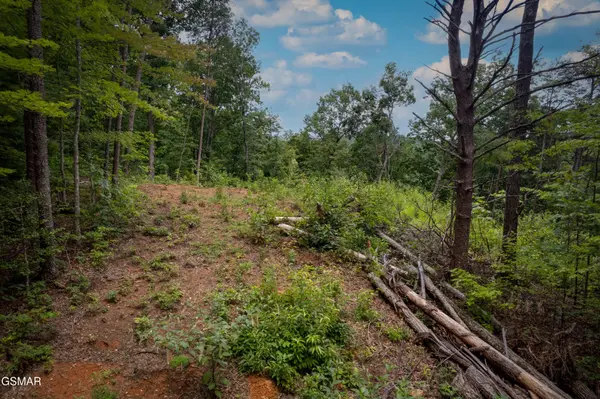 2 Verless Ogle, Sevierville, TN 37876