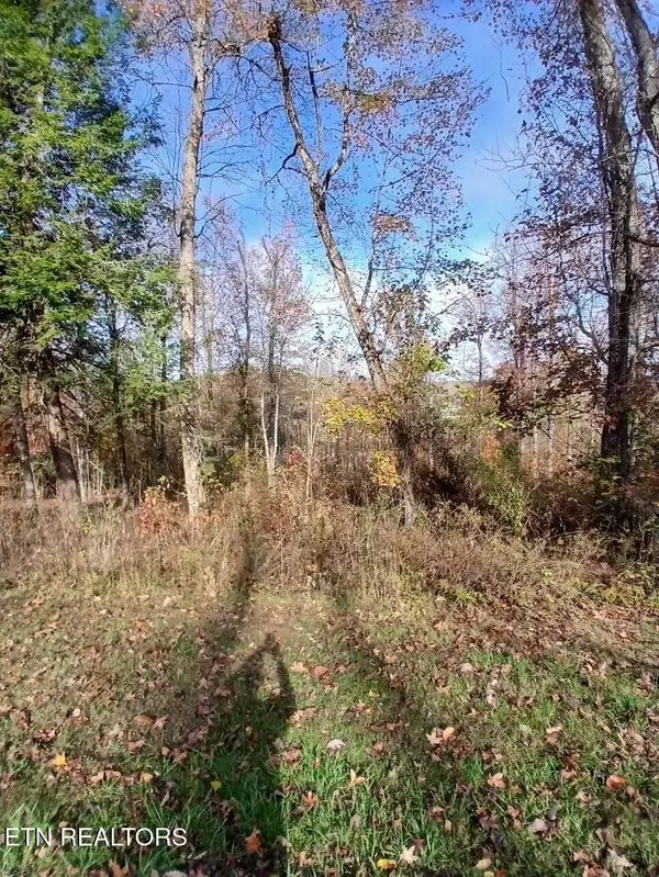 369 Walking Horse Tr, Rockwood, TN 37854