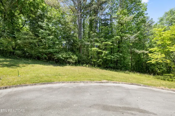 772 Wood Duck Drive, Vonore, TN 37885