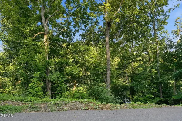 244 Jolene Way, Sevierville, TN 37876