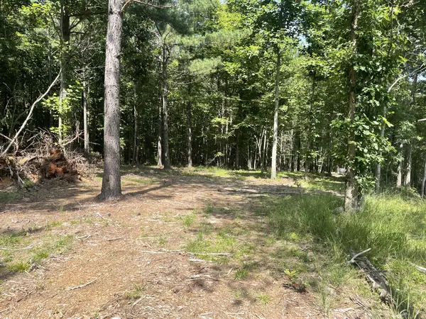 0 Tall Woods Ln, Spencer, TN 38585