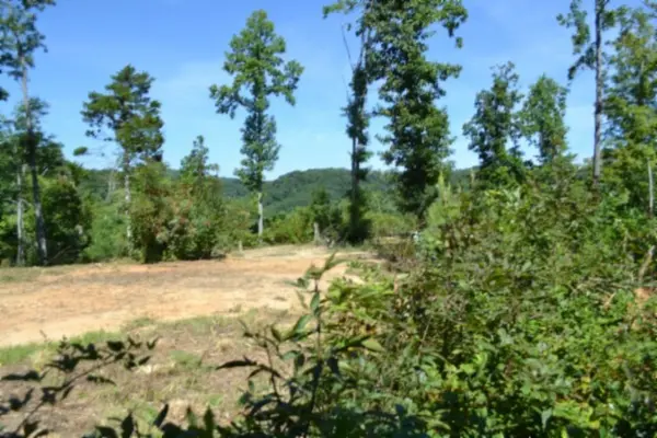 0 Rock Springs Rd, Celina, TN 38551
