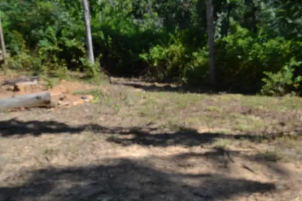 0 Rock Springs Rd, Celina, TN 38551
