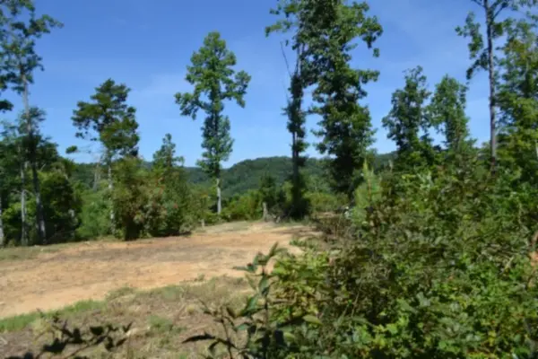 0 Rock Springs Rd, Celina, TN 38551