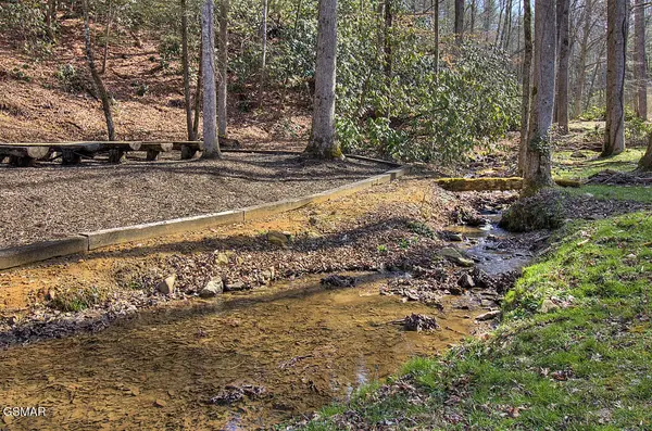 2050 E Millers Cove Road, Walland, TN 37886