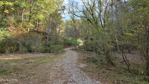 1876 Upper Middle Creek Rd, Sevierville, TN 37876