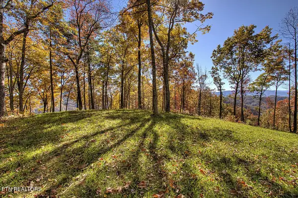 2000 E Millers Cove Rd, Walland, TN 37886