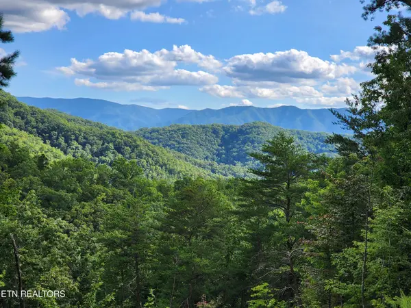 2000 E Millers Cove Rd, Walland, TN 37886