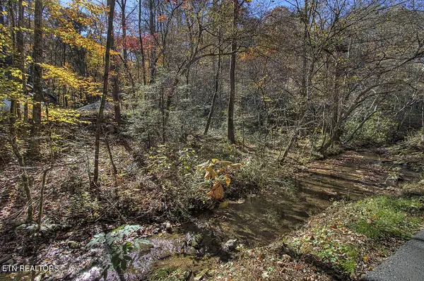 2000 E Millers Cove Rd, Walland, TN 37886