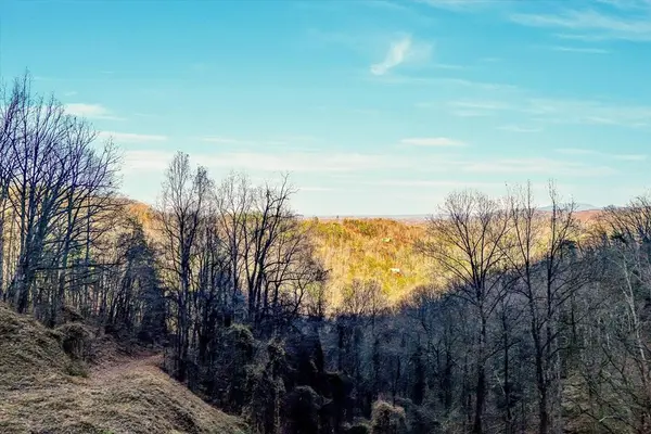 67 Balsam Slopes Road, Sevierville, TN 37862