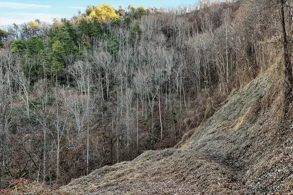67 Balsam Slopes Road, Sevierville, TN 37862