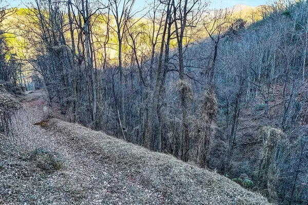 67 Balsam Slopes Road, Sevierville, TN 37862