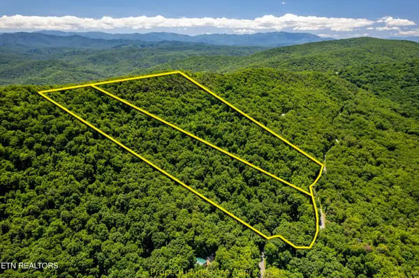 0 Butterfly Gap Rd, Maryville, TN 37803
