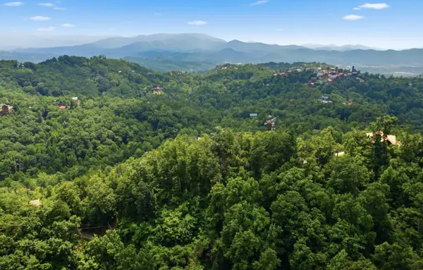0 Patterson Lead Rd, Sevierville, TN 37876