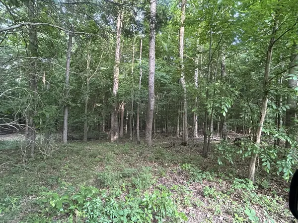 0 Bethany rd, Erin, TN 37061