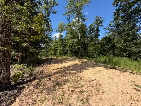 0 Center Point Rd S, Reagan, TN 38368
