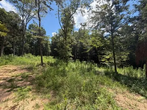 0 Center Point Rd S, Reagan, TN 38368